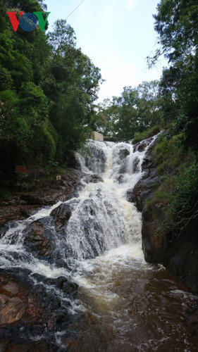 da lat khong chi co thung lung tinh yeu