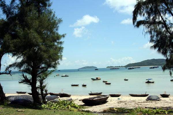 du lich quang ninh dau chi co vinh ha long