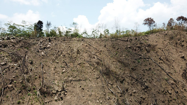 rung phong ho bi pha tan hoang tinh vao cuoc yeu cau kiem tra xu ly