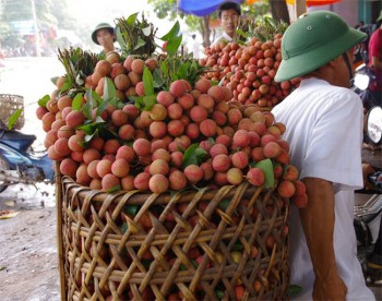 Bắc Giang thu 5.300 tỷ đồng từ vụ vải thiều 2017