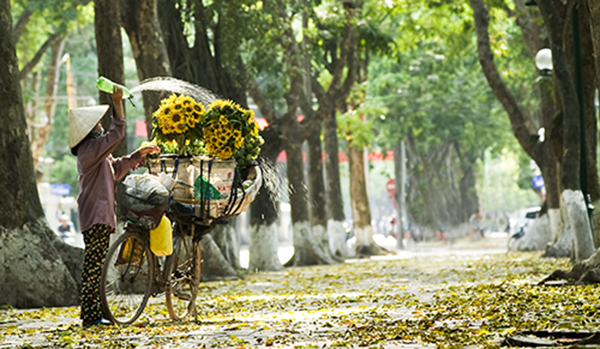 du khach viet sot xinh xich voi nhung diem ngam mua thu tuyet dep