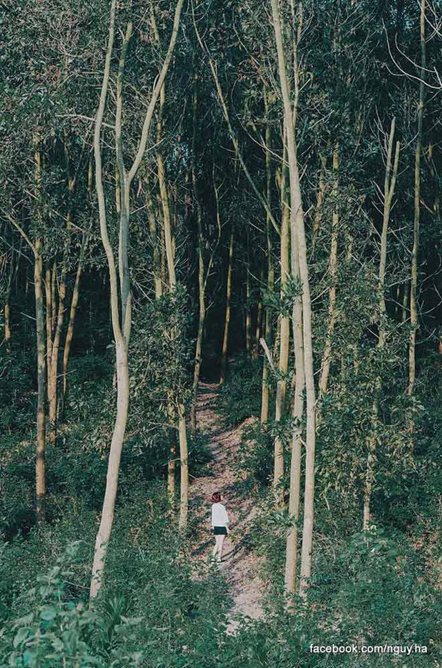 nghi le 29 dua nhau di tron o hoang dao xanh muot chi cach ha noi 100km