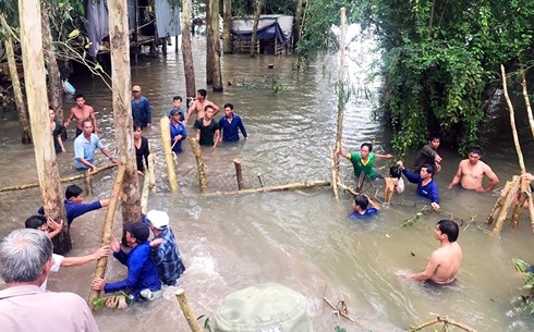 an giang khac phuc su co vo mieng cong kenh vinh te cuu 150ha lua