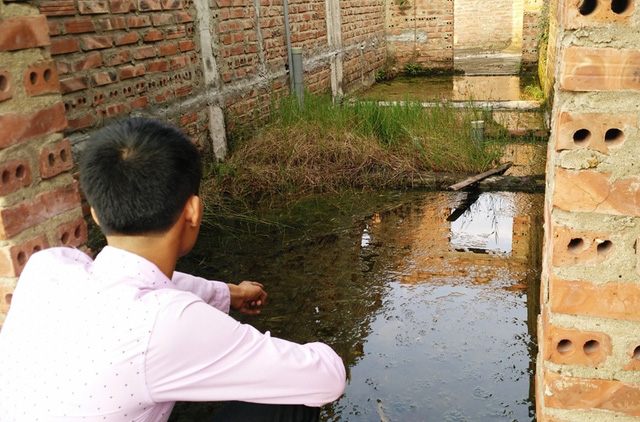 ninh binh truong mam non vua hoc vua xay dung