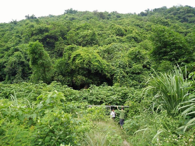 loi vao di tich quoc gia bi chan boi trang trai ga