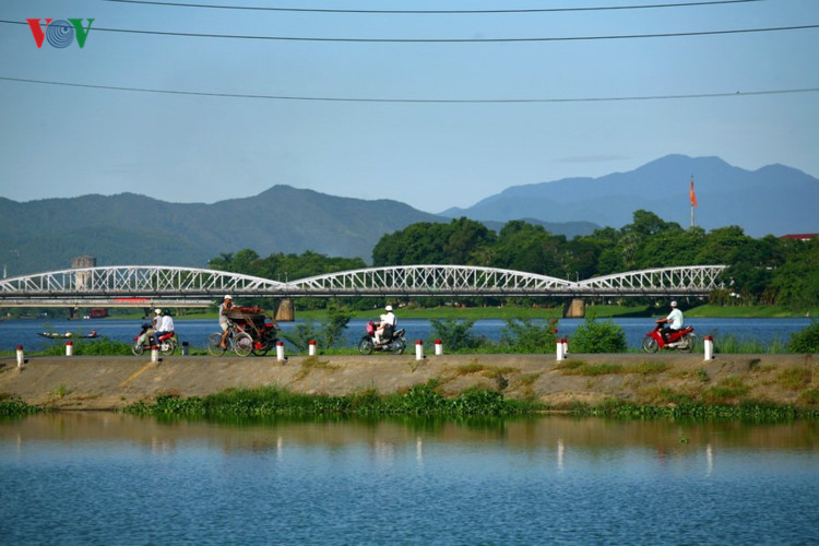 ngam co do hue dep quyen ru trong mua thu