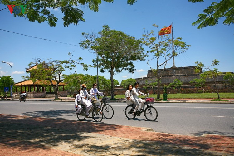 ngam co do hue dep quyen ru trong mua thu