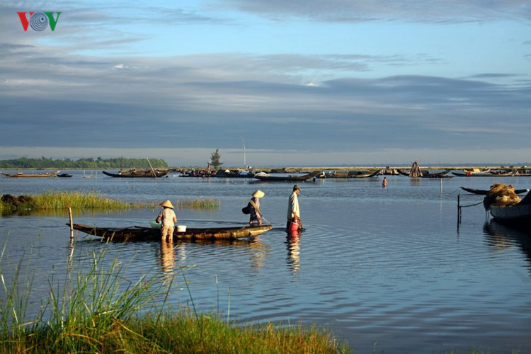 ngam co do hue dep quyen ru trong mua thu