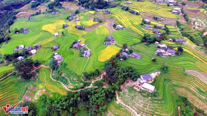 ngat ngay ruong bac thang ong anh tu tren cao