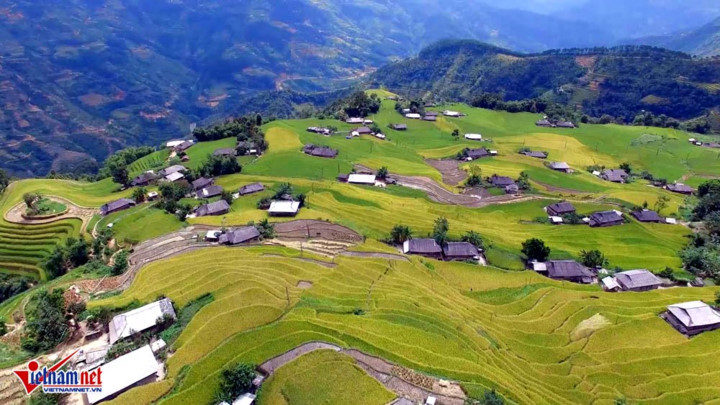 ngat ngay ruong bac thang ong anh tu tren cao