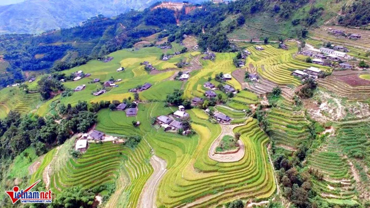 ngat ngay ruong bac thang ong anh tu tren cao