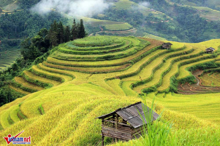 ngat ngay ruong bac thang ong anh tu tren cao