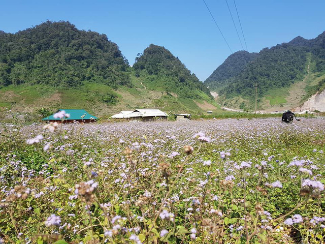 lac vao thung lung hang kia dep yen binh nhu co tich