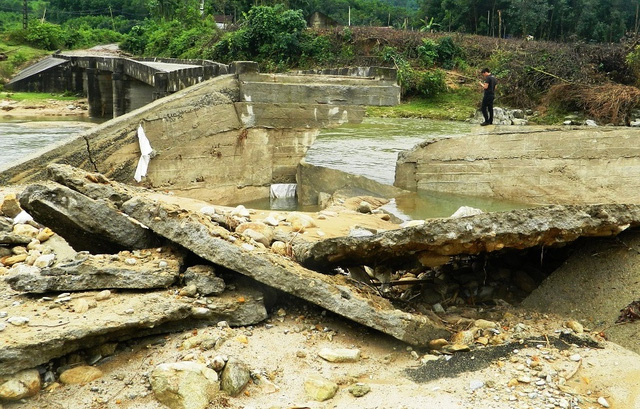 sau mua lu lo cay cau be tong khong loi thep