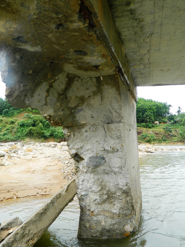 sau mua lu lo cay cau be tong khong loi thep