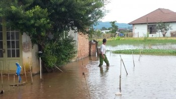 Hồ thủy lợi tích nước, hàng chục hộ dân bị ngập sâu trong nước