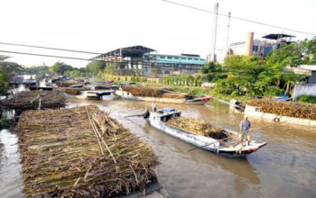 Đường tồn kho tăng trở lại