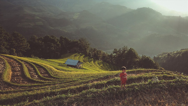 Mù Cang Chải đến để nhớ