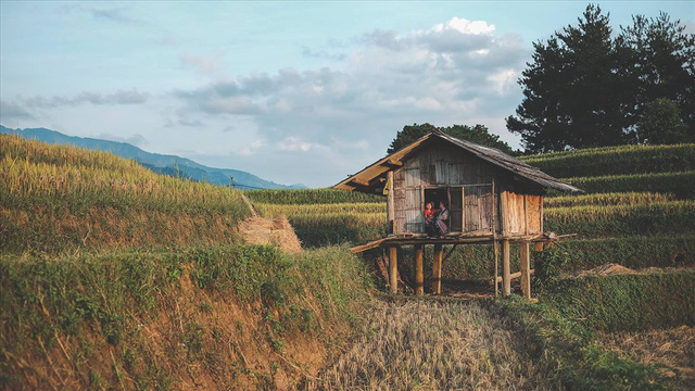 mu cang chai den de nho