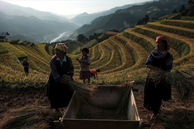 mu cang chai den de nho