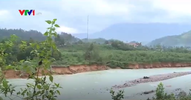 nguoi dan dung ngoi khong yen vi hang tram ha hoa mau nguy co hong