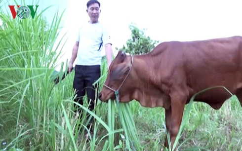 xin ra khoi ho ngheo chuyen cu ma moi o dam ha quang ninh