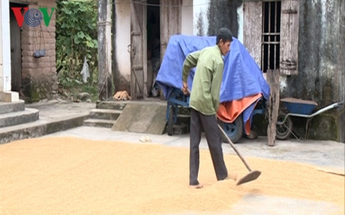 xin ra khoi ho ngheo chuyen cu ma moi o dam ha quang ninh