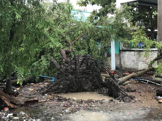 tphcm va vung tau mua to gio lon song bien manh 63063