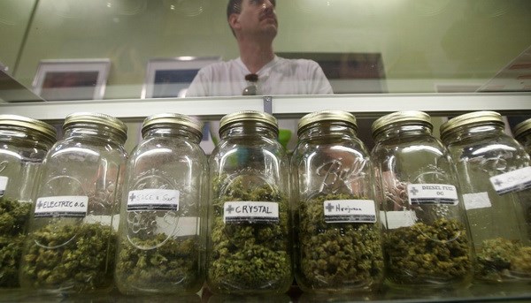 Thượng viện Mexico cho phép sử dụng cần sa trong y học