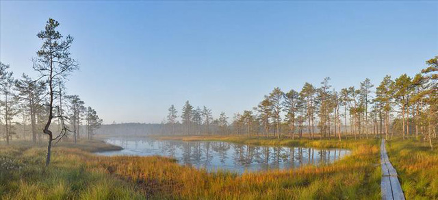 tai sao lai goi estonia la vien ngoc bi an cua dong au