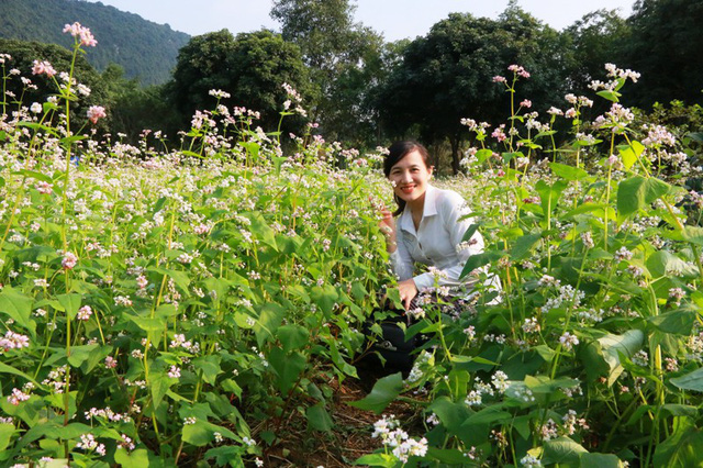 vuon tam giac mach co 1 khong 2 hut hon du khach o ninh binh