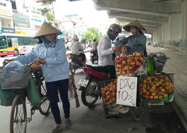 Hà Nội: Có tới 80% trái cây tại các chợ đầu mối không rõ nguồn gốc