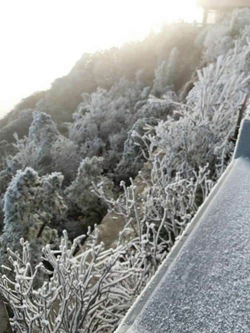 bang tuyet phu trang dinh fansipan va rung hoang lien