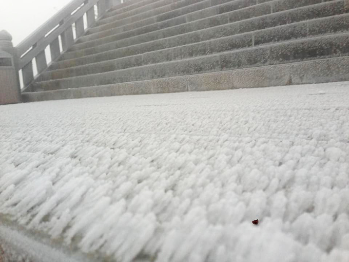 bang tuyet phu trang dinh fansipan va rung hoang lien