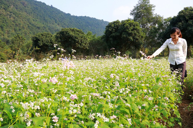 buc tranh son thuy huu tinh day tho mong o thung nham