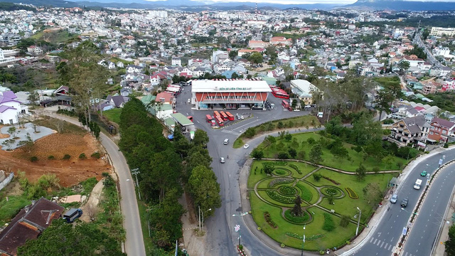 hut hon du khach voi sac tim hoa mua tai doi robin da lat