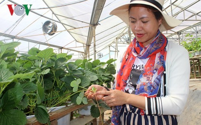 lam nong nghiep cong nghe cao nhieu loi ich nhung day chong gai