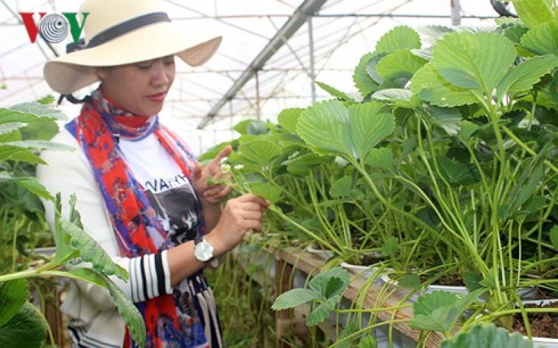 lam nong nghiep cong nghe cao tranh benh phong trao