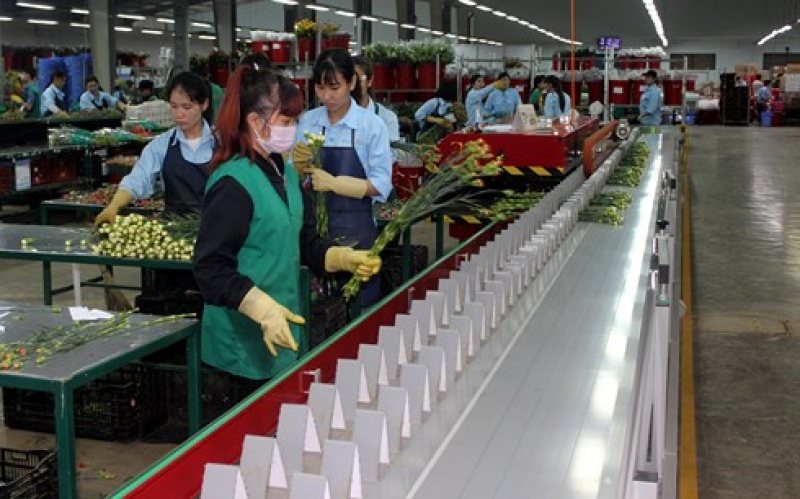 lam nong nghiep cong nghe cao tranh benh phong trao