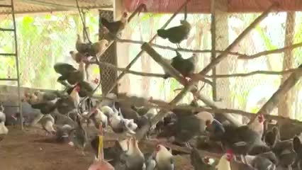 Phu Luong to focus resources on building new rural areas