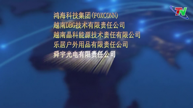 征服大的外国直接投资企业难不难？