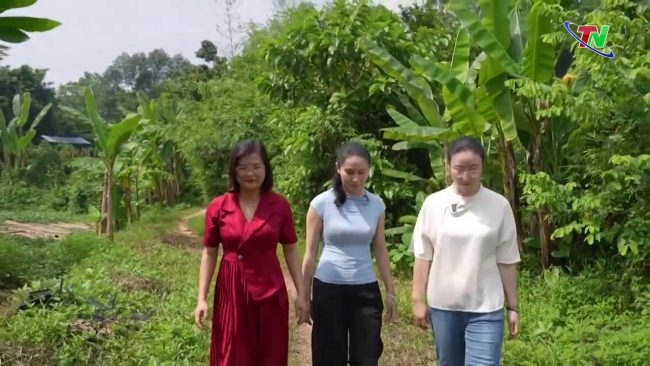 Thai Nguyen Corner 16/9/2023