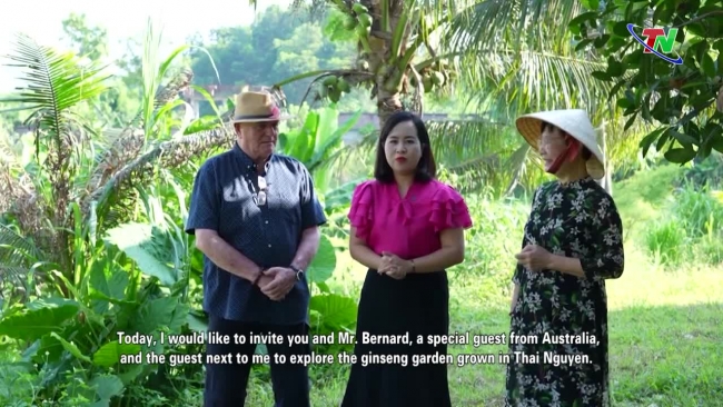 Thai Nguyen Corner 7/11/2023