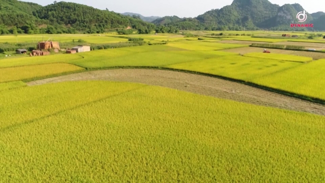 太原：新农村新成就