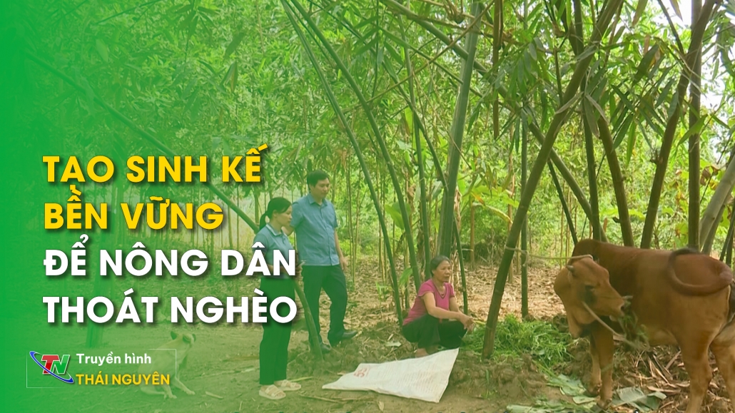 Chương trình Tiếng Mông ngày 14/4/2024 | Tạo sinh kế bền vững để nông dân thoát nghèo