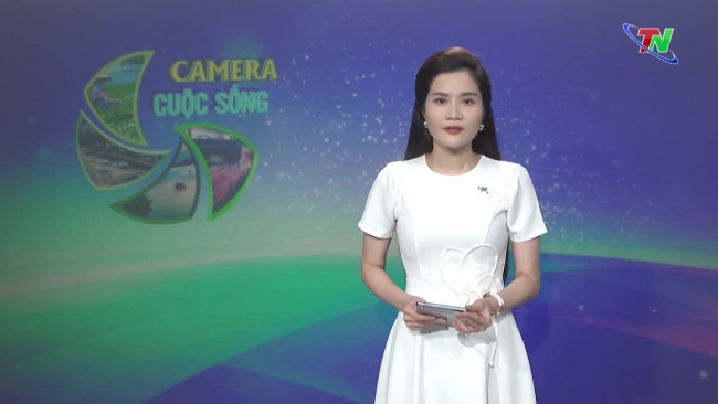 Bản tin Camera cuộc sống ngày 26/5/2024