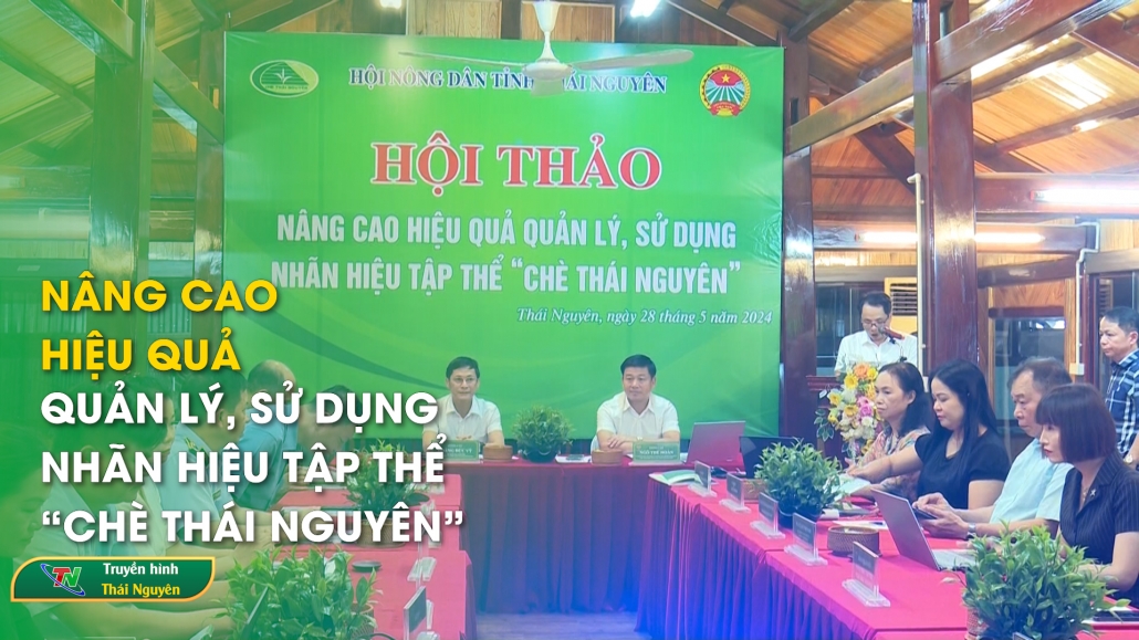 Nâng cao hiệu quả quản lý, sử dụng nhãn hiệu tập thể “Chè Thái Nguyên”