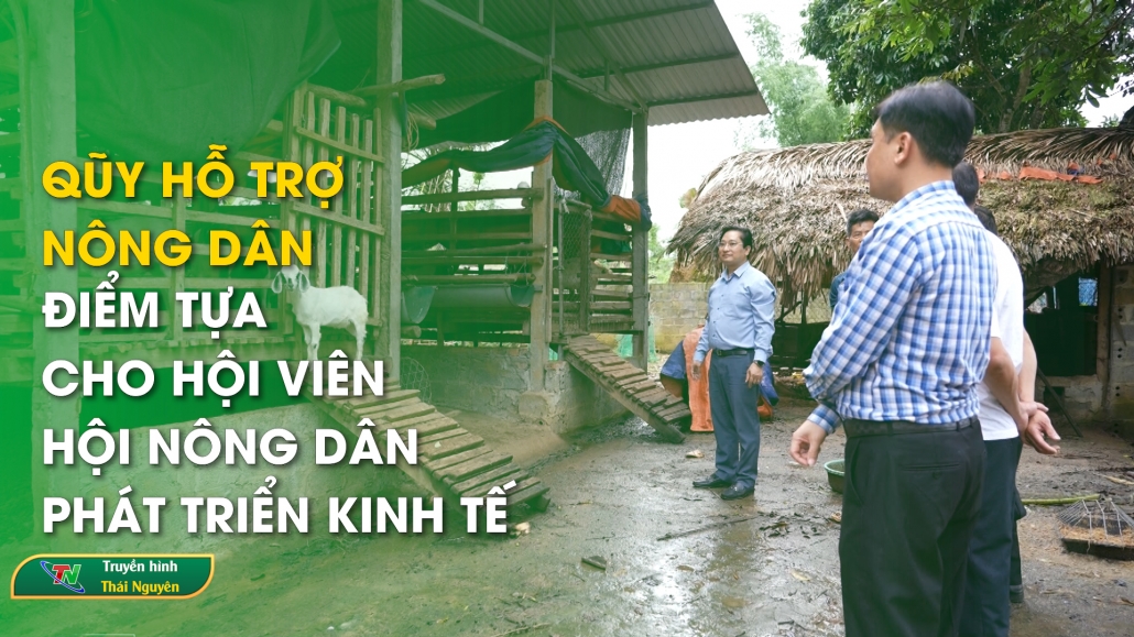 Quỹ hỗ trợ nông dân – Điểm tựa cho hội viên hội nông dân phát triển kinh tế