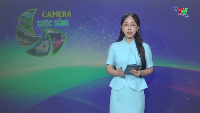 Bản tin Camera cuộc sống ngày 29/5/2024