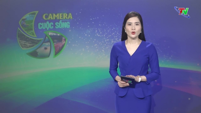 Bản tin Camera cuộc sống ngày 30/5/2024